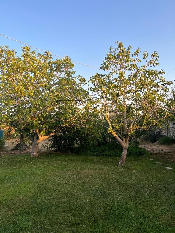 Li Papi Holiday home